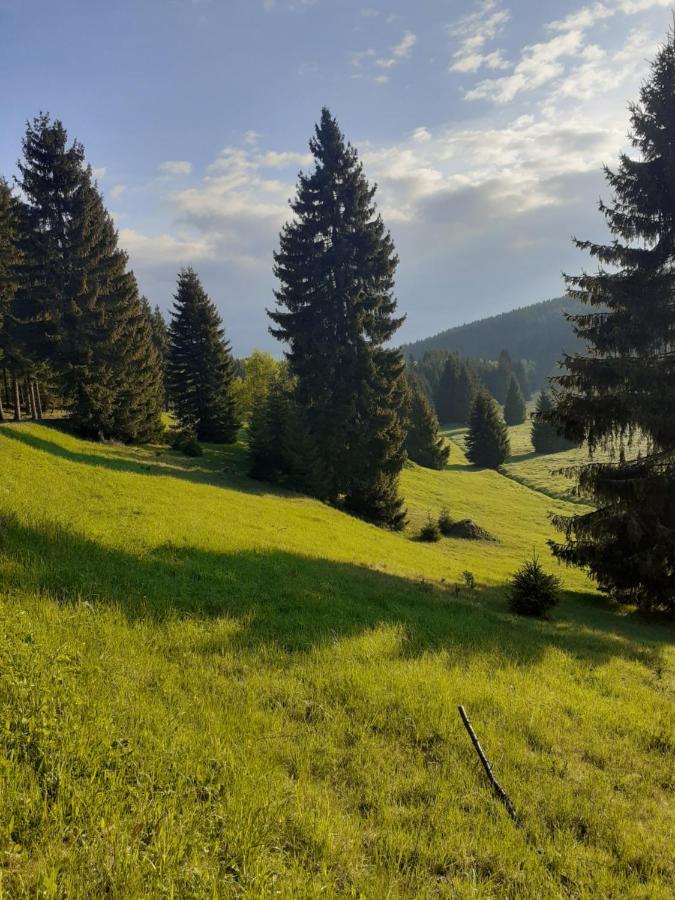 Chalupa U Pratel Kovářská Buitenkant foto