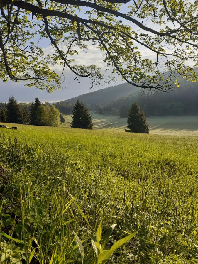 Chalupa U Pratel Kovářská Buitenkant foto
