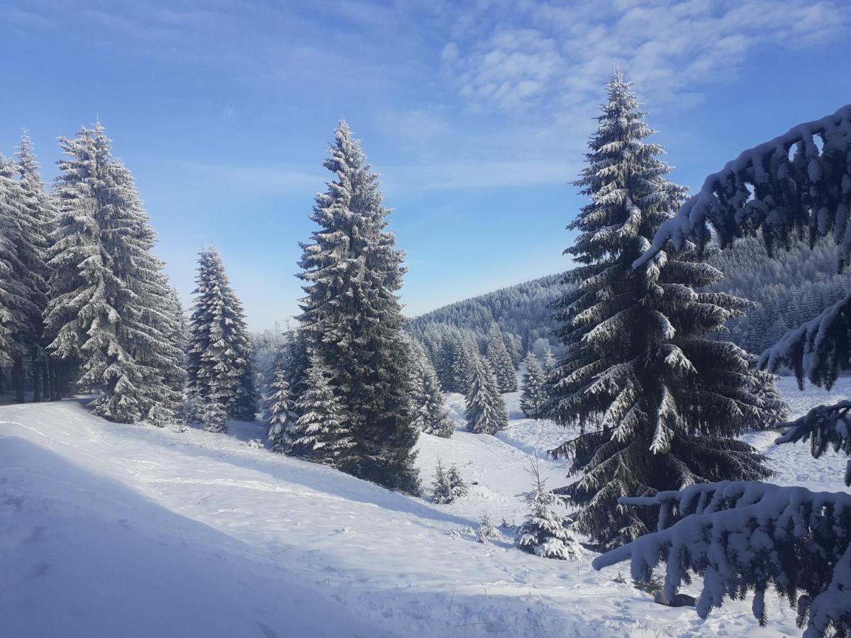 Chalupa U Pratel Kovářská Buitenkant foto